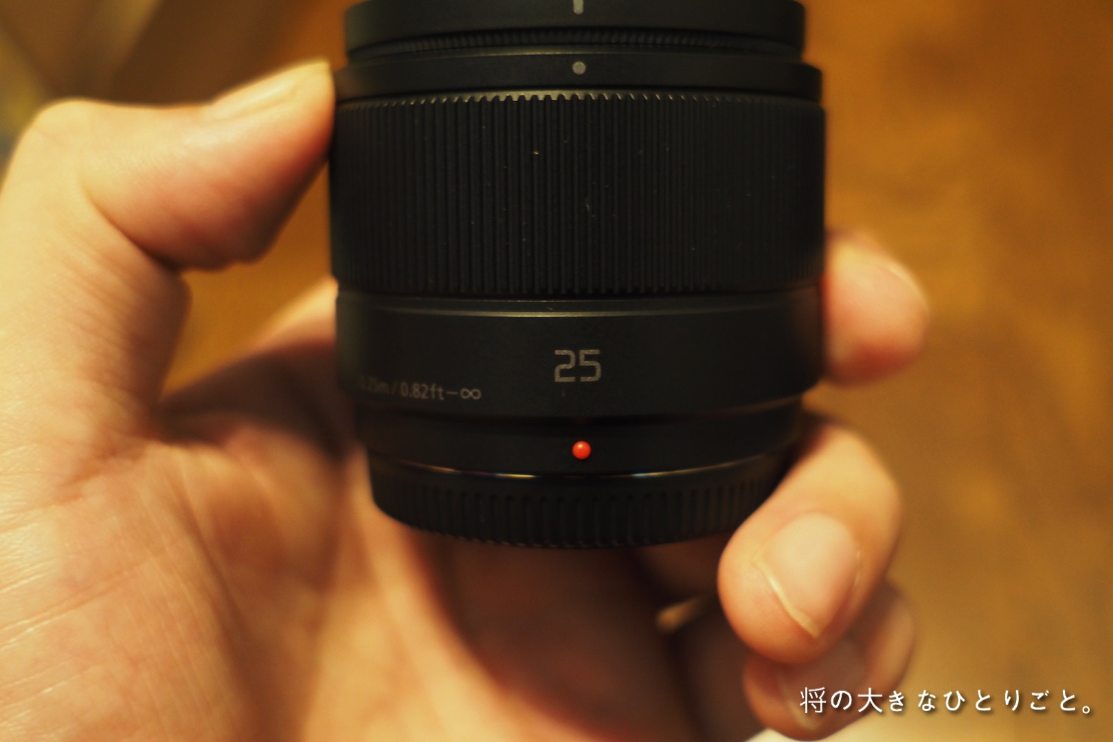 単焦点レンズ】Panasonic 25mm F1.7 単焦点 標準レンズ LUMIX G ASPH 